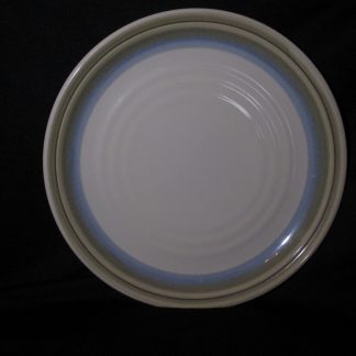 Noritake Painted Desert Chop Plate