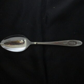 Oneida Polonaise Serving Spoon