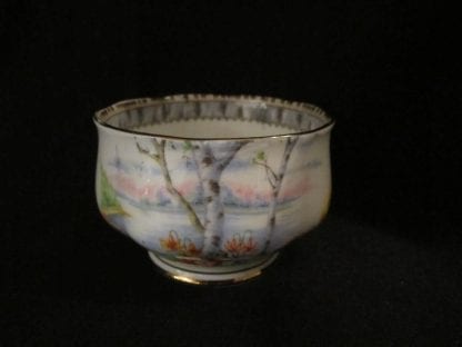 Royal Albert Silver Birch AD Cream & Sugar - Image 3