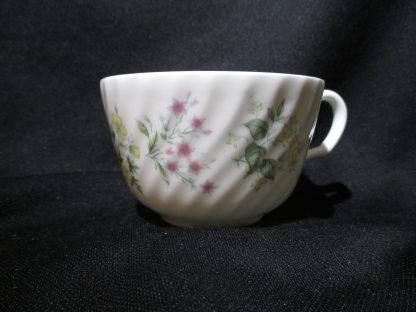 Minton Spring Valley Teacup Only