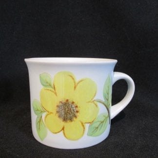 Royal Doulton Summer Days LS1002 Teacup Only