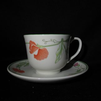 Johnson Brothers Summer Delight Cup & Saucer