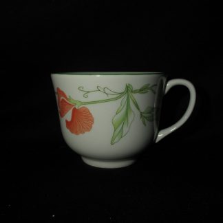 Johnson Brothers Summer Delight Teacup Only