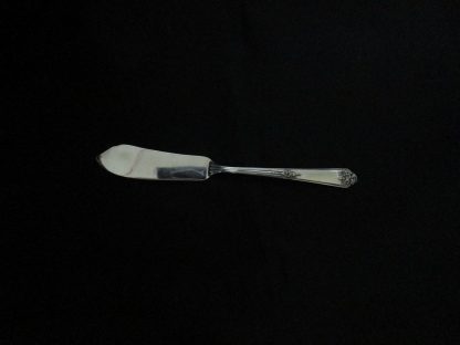 Oneida Sweet Briar Butter Knife