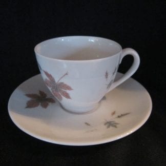 Royal Doulton Tumbling Leaves TC1004 Cup & Saucer