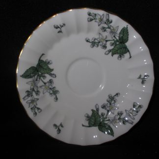 Royal Worcester Valencia Saucer Only