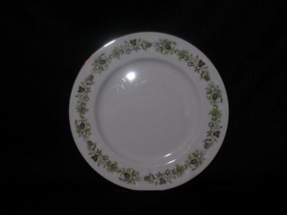 Royal Doulton Vanity Fair TC1043 Luncheon Plate
