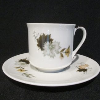 Royal Doulton Westwood TC1025 Cup & Saucer