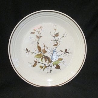 Royal Doulton Wild Cherry LS1038 Dinner Plate