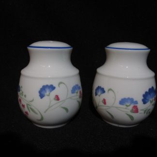 Royal Doulton Windermere Expressions Shaker - Salt & Pepper