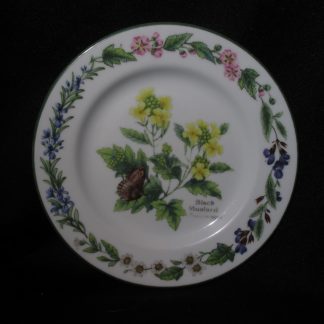 Royal Worcester Worcester Herbs Salad Plate