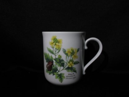 Royal Worcester Worcester Herbs Coffee Mug